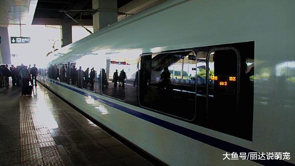 沙特土豪兄弟来中国坐高铁，发现2个＂缺点＂，说出了我们不敢说的