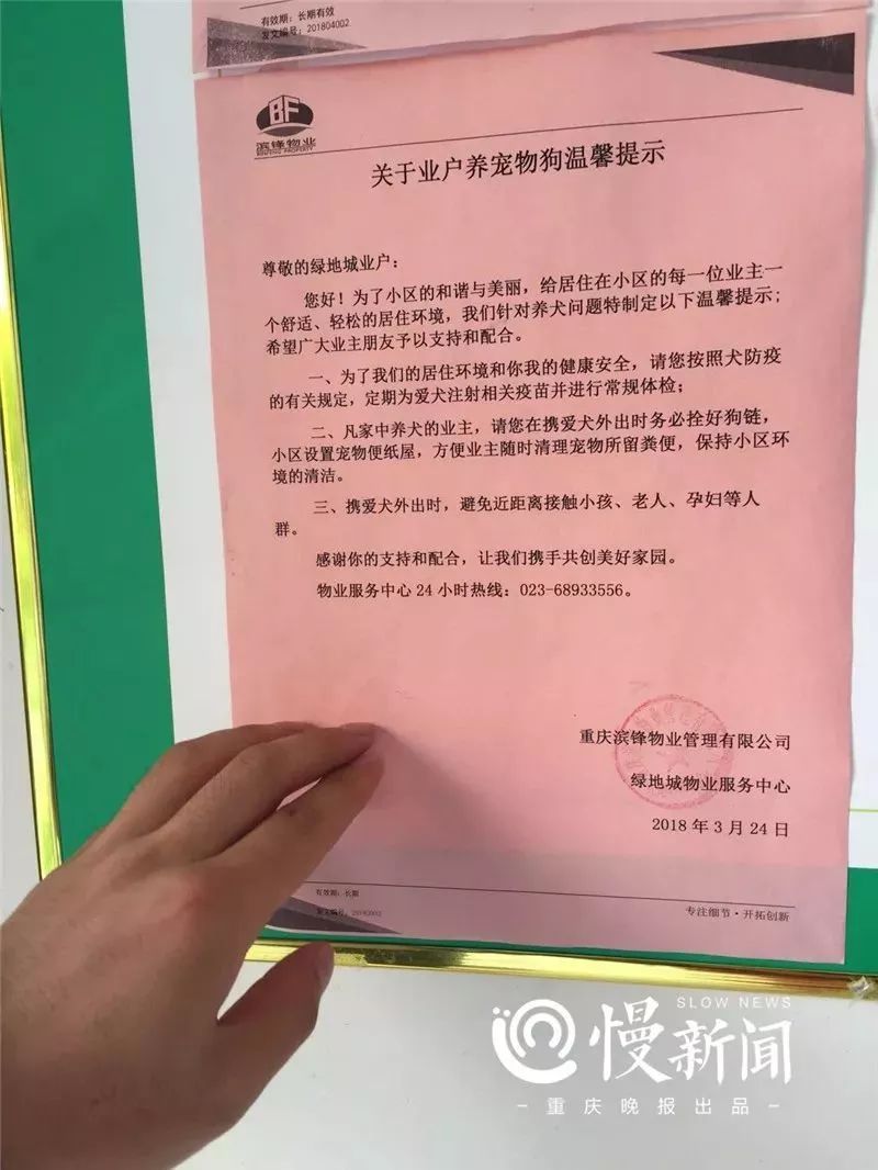小区业主发文“再遇大狗扑娃，直接打死” 养狗者怼回：怕狗该去住别墅