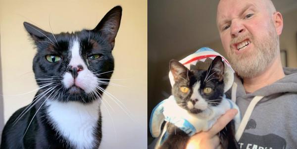 老公说绝对不再多养一只，在遇到逃过安乐死三脚猫后，他食言了