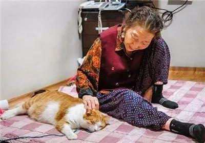 被奶奶带大的橘猫, 就是和别人家的不一样哈