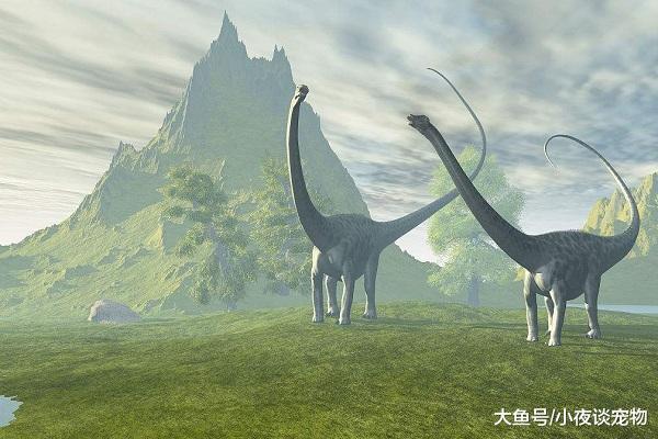 它是霸王龙最大的天敌，也是世界上最大的恐龙之一
