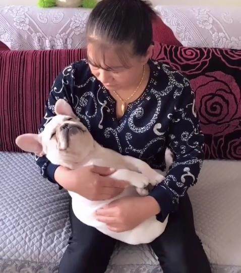 自从把狗买回家以后，妈妈把狗当孩子养，感觉自己快没妈了