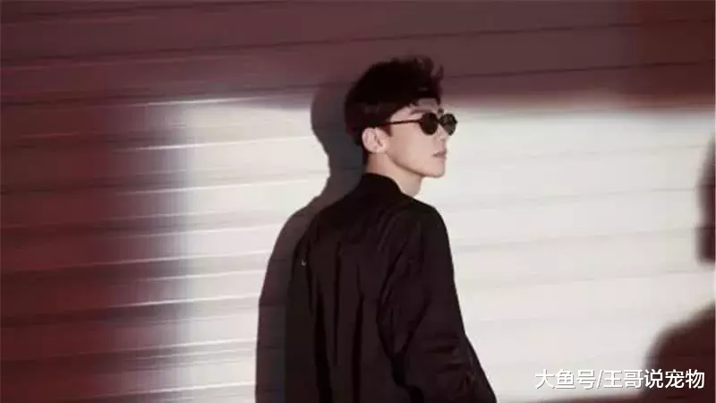 白敬亭没有经纪公司，却发展成一线明星，粉丝：靠这6个人就够了