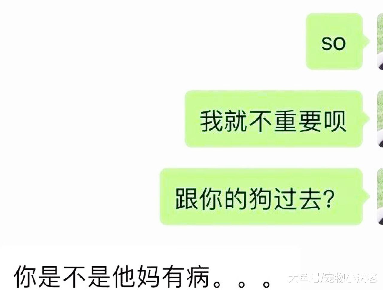女子生气，偷偷将男朋友养了5年的爱犬送人，是你的话会怎么办！