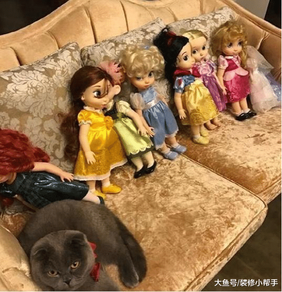 女明星杨雪现实的房子，头一次看到明星家里厨房这么小，装修简陋