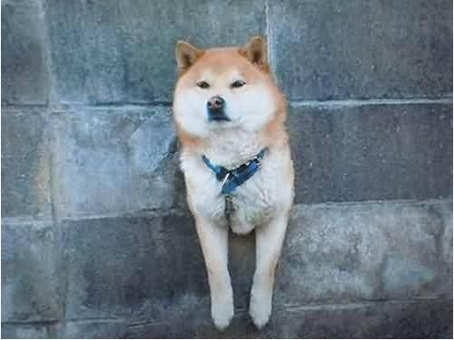 ?阳台不要这样设计，物业一看就要阻拦，还好我家早知道