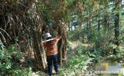 上山时发现一窝怪蛋，小伙直呼发财了，家人看后大骂败家子！