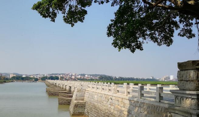 千年前他修桥时故意混入一种生物, 却促使这座天下第一桥千年不倒