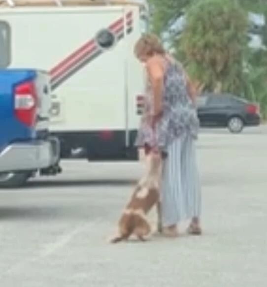 女子因涉嫌虐待动物被捕！母亲：她有精神病，但我不会保释她