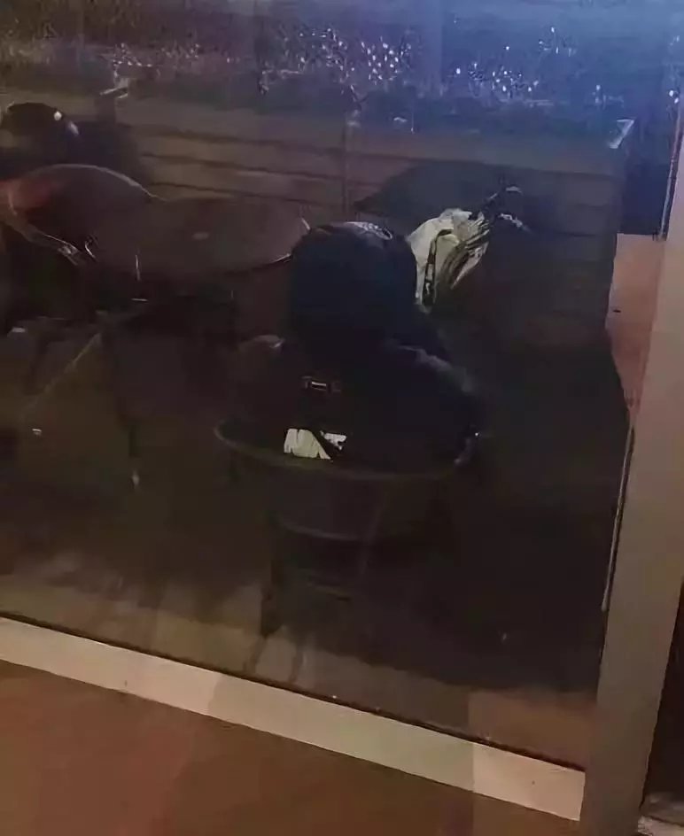 星巴克貓爪杯引發爭奪大戰，這也太瘋狂了吧！