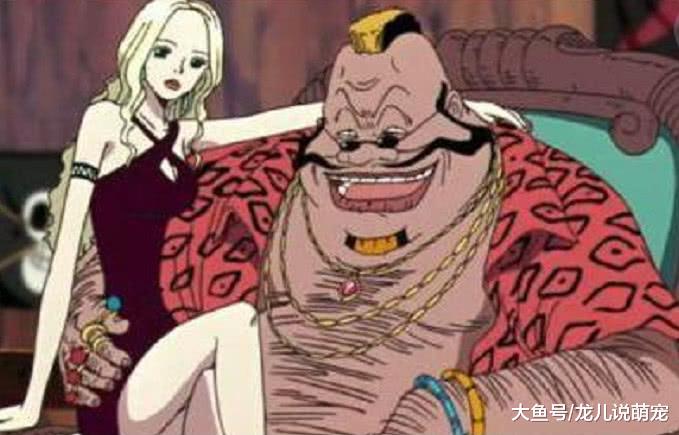 海贼王: 在动漫界，也实锤最萌身高差，看看这对，小编不服啊