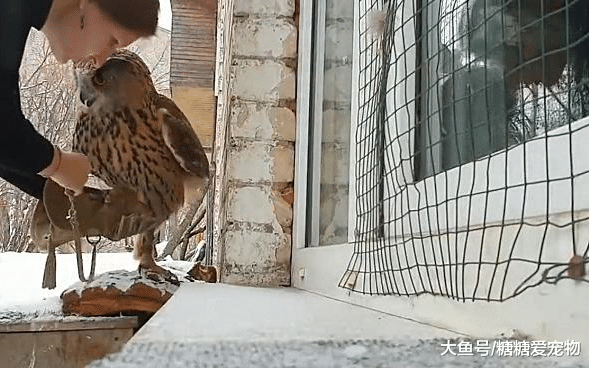 女子听到屋外传来一阵“哭腔”，打开门后拍了下头：瞧，我这记性