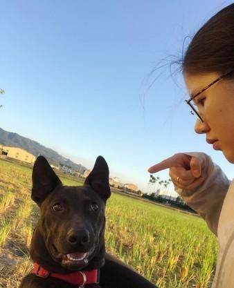 狗狗倒地翻白眼，主人崩溃以为被毒杀，下一秒被狗狗动作惹生气