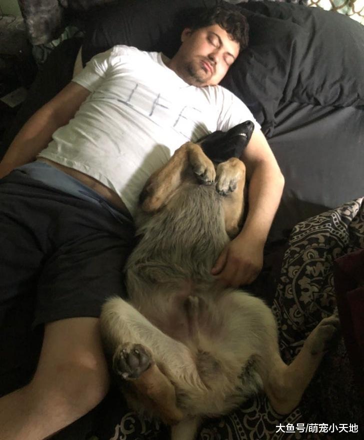 曾反对养宠物的父母，现对它们宠爱的程度让我觉得自己不是亲生的