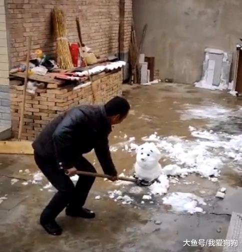 辛苦堆好的雪人一會就丟了狗首，更慘的還有被爸爸一鏟子鏟出去的
