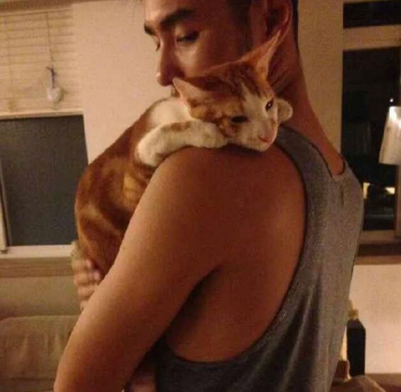 晒晒阮经天在上海的豪宅，落地窗对着一线江景，住的地段真不便宜