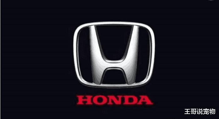 发动机质量最差的4大汽车品牌, 第一名国人加价买