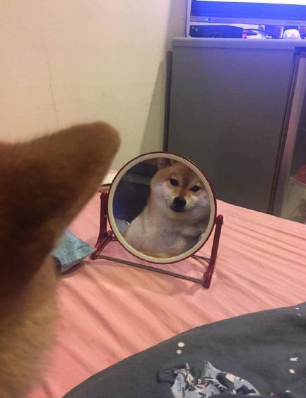 新晋两位奥斯卡影帝得主