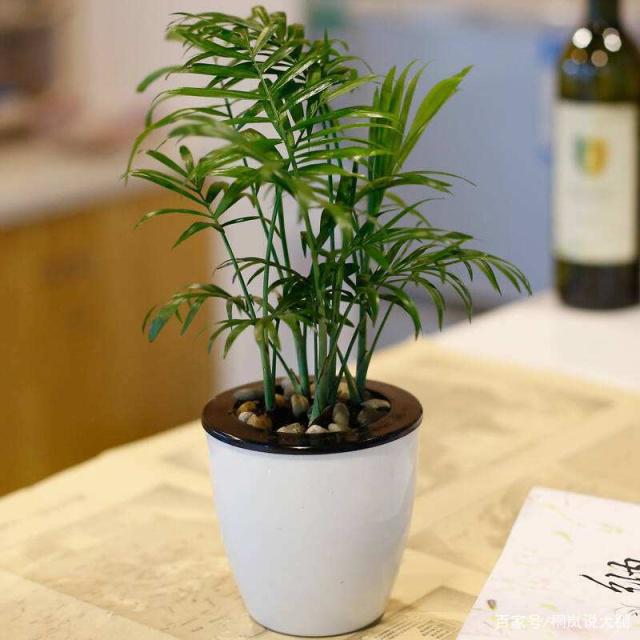 装修除甲醛治理药剂名目繁多，相关人士提醒请找正规军!