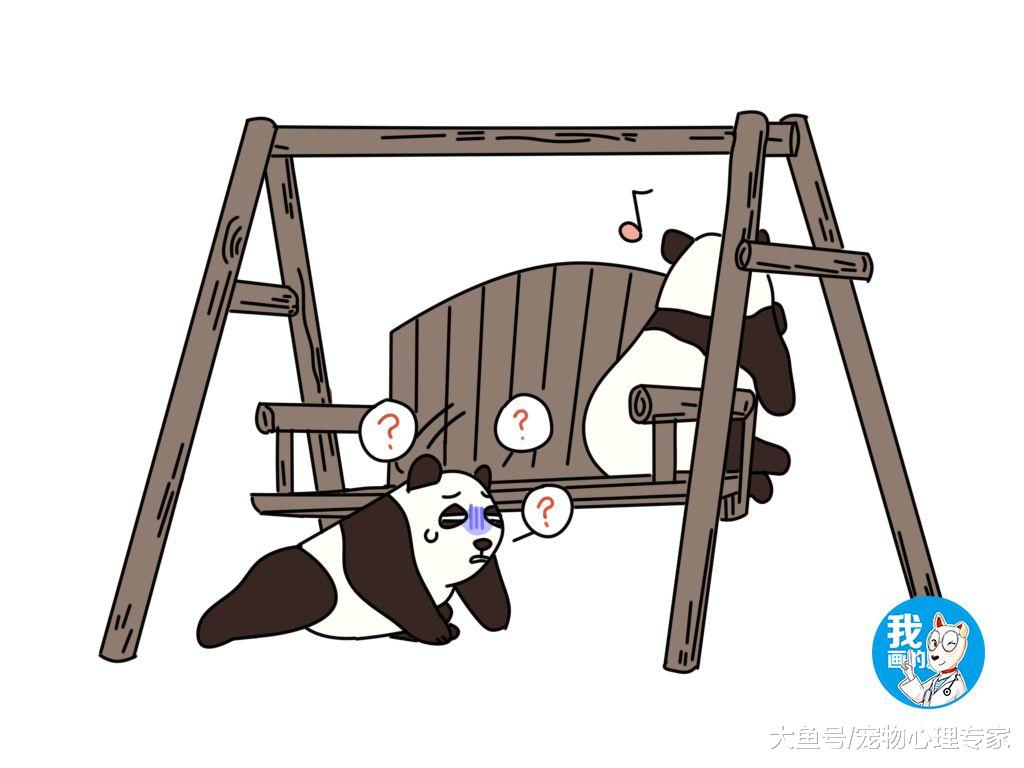 熊猫沉迷荡秋千，扭头一看不对劲：我放这儿那么大一个国宝呢？