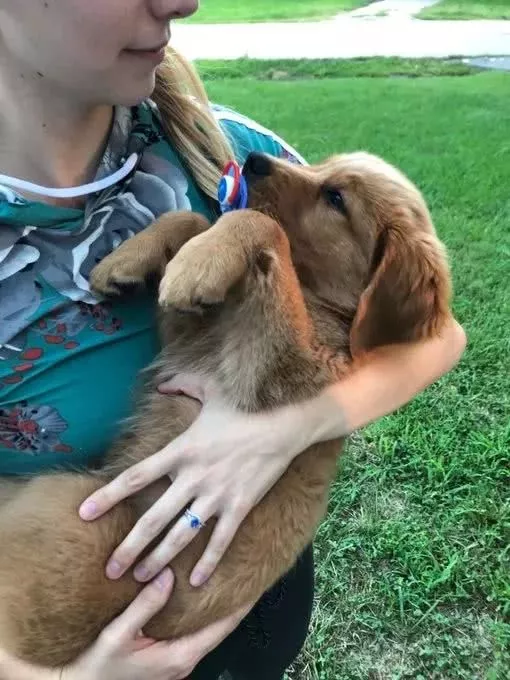 狗狗忌妒小主人，把他的奶嘴偷了：谁还不是个宝宝啦！