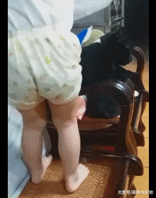 3岁萌妹帮猫主子按摩还懂盖被，妈妈傻到直呼：哪里学的