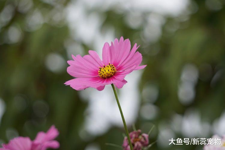 10月大运难挡，3生肖好运重点关照，喜迎财富，赚大钱