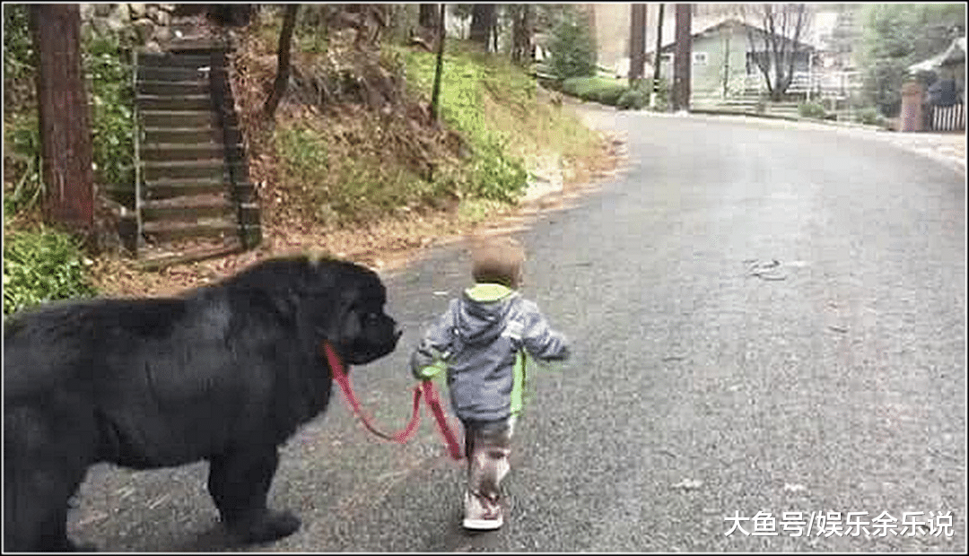 小儿子一大早偷跑出门，中午牵着“动物”回家，走近看清不淡定了