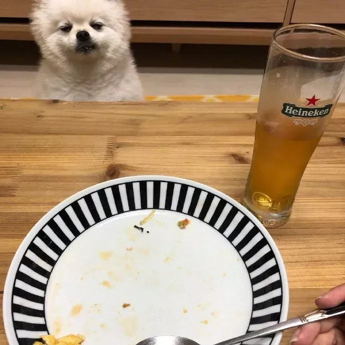 其实，动物也害怕那些技术渣的人拍的全景照片