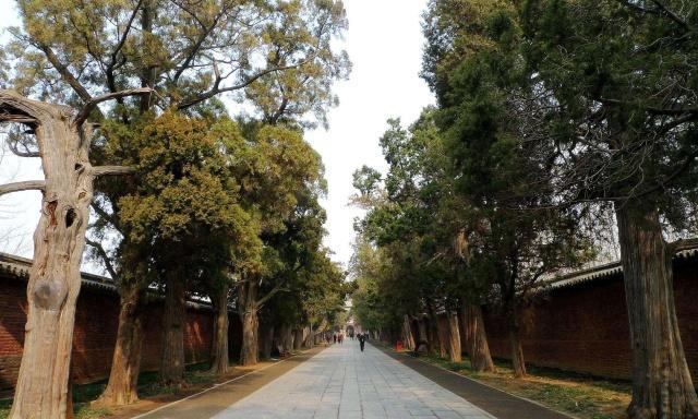 这个家族担任县令六百多年，朝代换县令不换，甚至能在皇宫内骑马