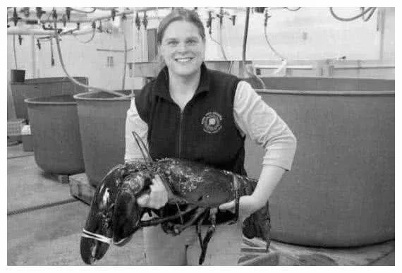 头回见这么大的龙虾，它被老板当镇店之宝，年龄属于曾祖父级别了