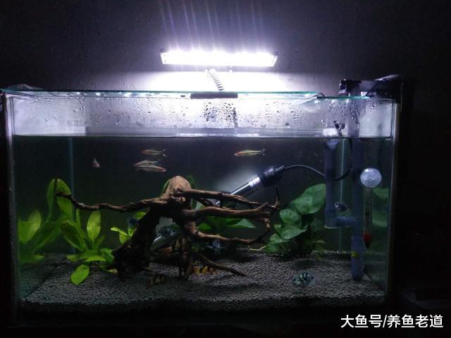 鱼缸的水质不好需要改动滤材，我们应该动哪里，不应该动哪里？