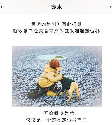 斜对面的老阳检测一次收一万, 写广告软文代理审核, 卖猫狗粮
