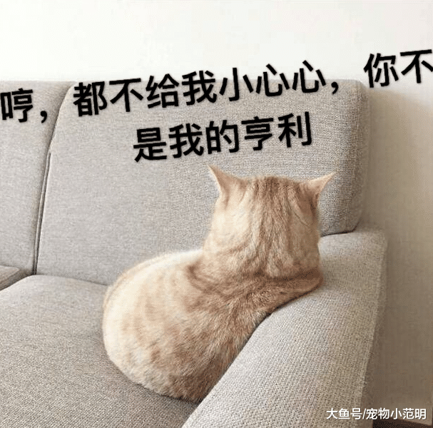 夏天到了，还要把自己包裹得严严实实吗？学会展示这三个部位，就没人敢说你土了！