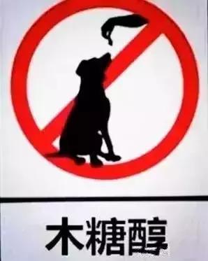 狗狗吃蛋糕八天后死亡，养只狗，并不比养小孩要容易...