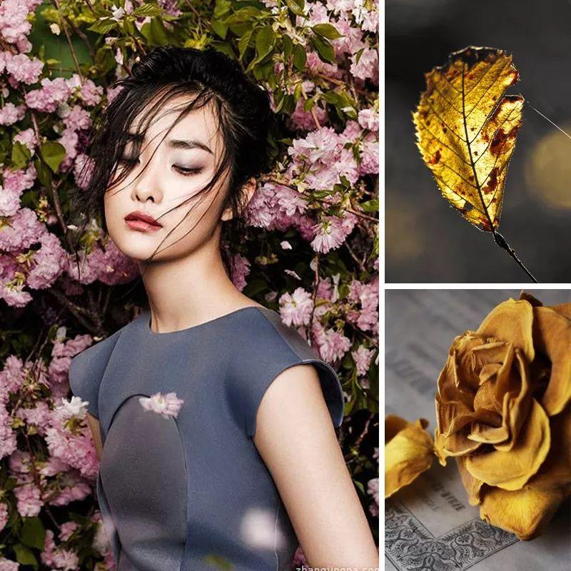 一個好看的客廳，能讓你家變得更驚艷，把顏色搭配好就很美了