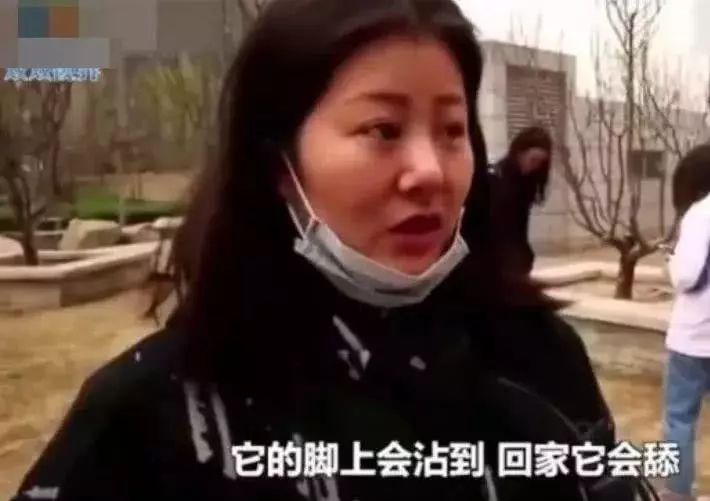可怕！在小区遛弯回家的十几只狗子离奇死亡，竟还有人点赞叫好...