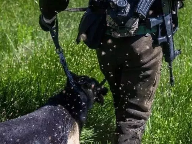 八一，向无言的战士致敬！