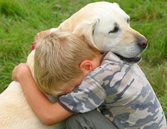 家有萌宝，还适合养宠物吗？注意这几点，萌宝和宠物就能和睦相处