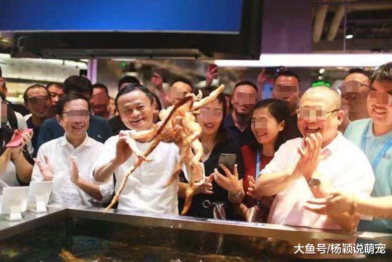 马云深夜到网红美食店打卡，老板直言说免单，网友：看不起谁呢？