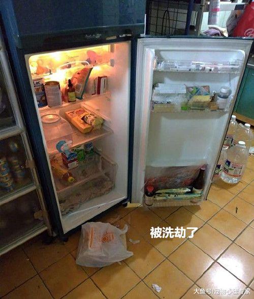 女子下班发现冰箱遭窃，低头一看脸色发青：可以上交给国家吗？