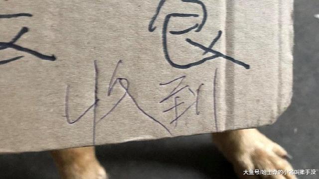 主人给拉肚子的狗狗挂了不许喂食的牌子，没想到真的有人给回复了