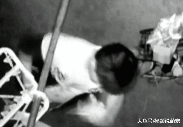 男子为报复变心女友，疯狂偷窃女性内衣，只为刺激来换取心里安慰