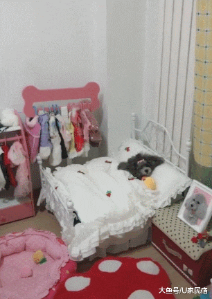 U+推荐 | 豪华狗窝：中式泳池豪宅、田园风情别墅、三层跳台别墅，人看了都想住