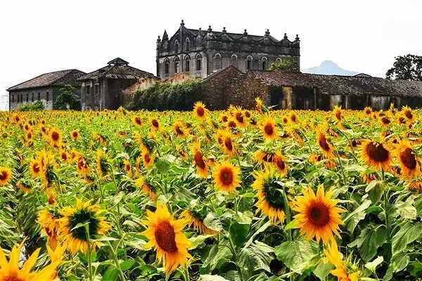 还出什么国？去了广西，等于去了全世界，不信你看