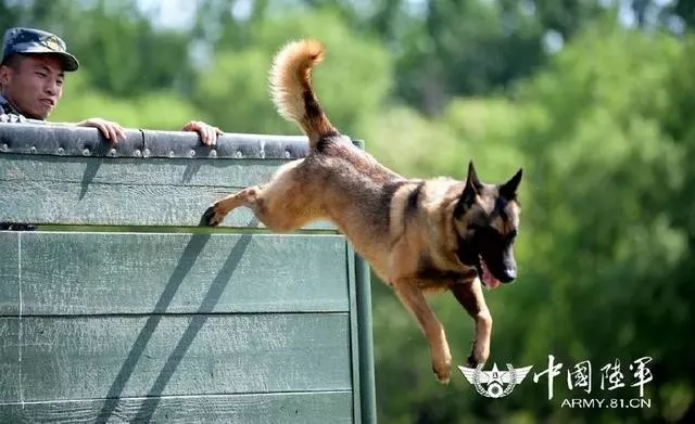 八一，向无言的战士致敬！