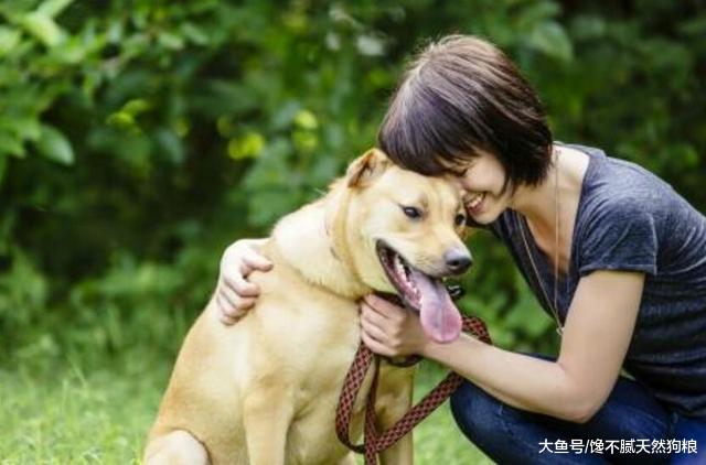 对狗狗来说，这些部位它最喜欢被摸了，每天一摸它会更爱你！