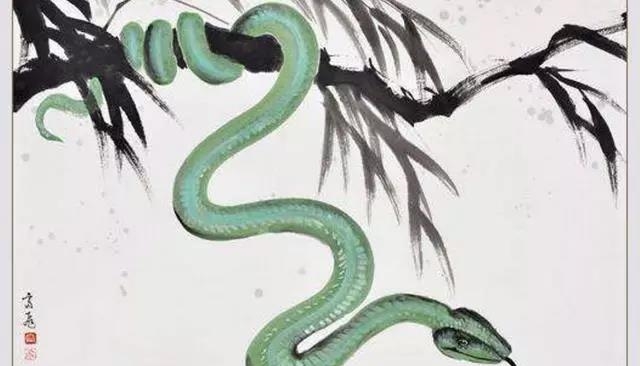 蛇朋友：这两大”靠山“已到你身边，请好好珍惜！