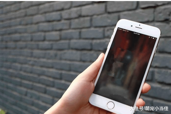 iPhone已经坚持10年了, 为何今年才发布双卡双待功能, 答案你想象不到