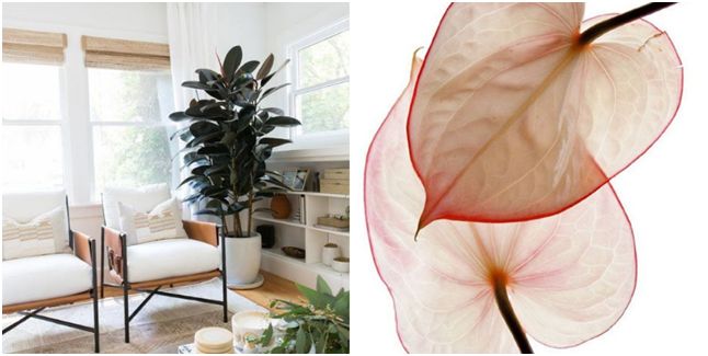 2019春季室内装饰趋势：中世纪现代风格+自然材料+中性色